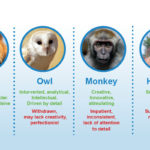 Personality Types - Lion, Owl, Monkey, Horse