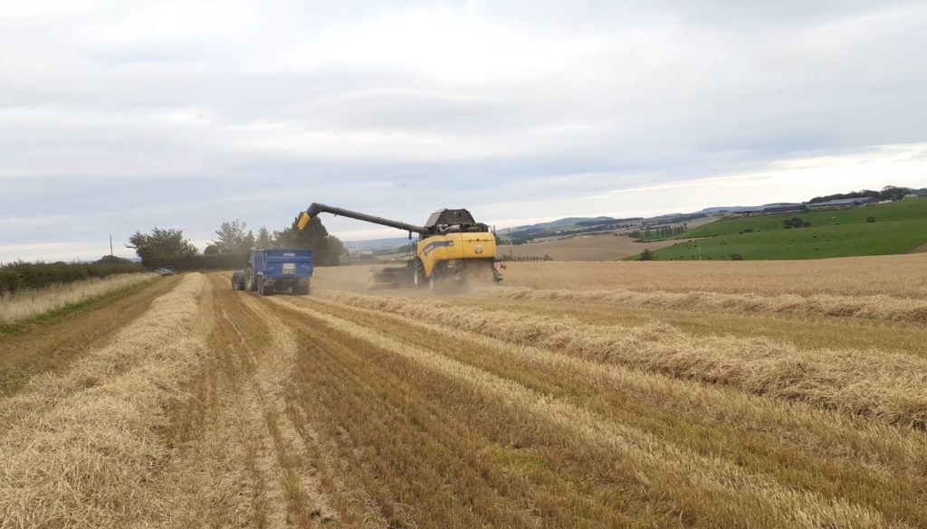 Field of crop being combined
