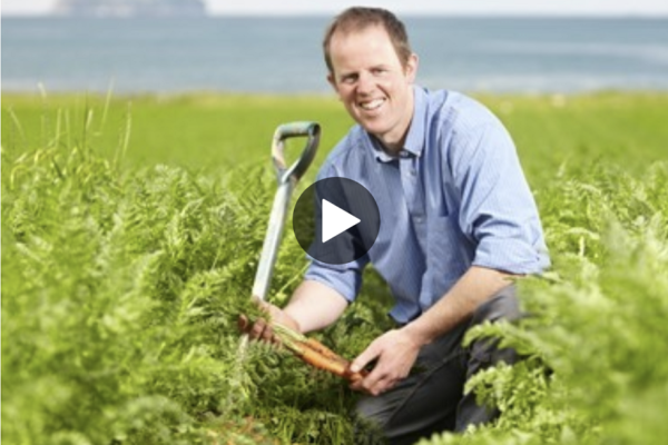 Gordon in a field of carrots with a space