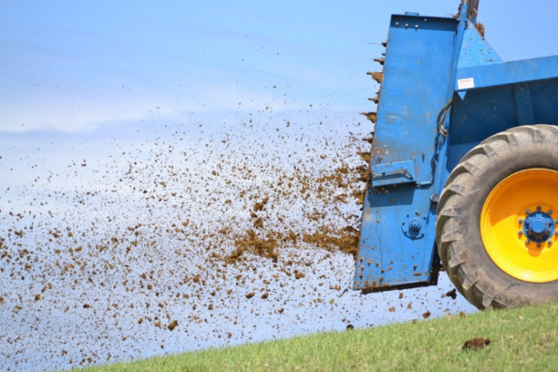 Poultry Manure