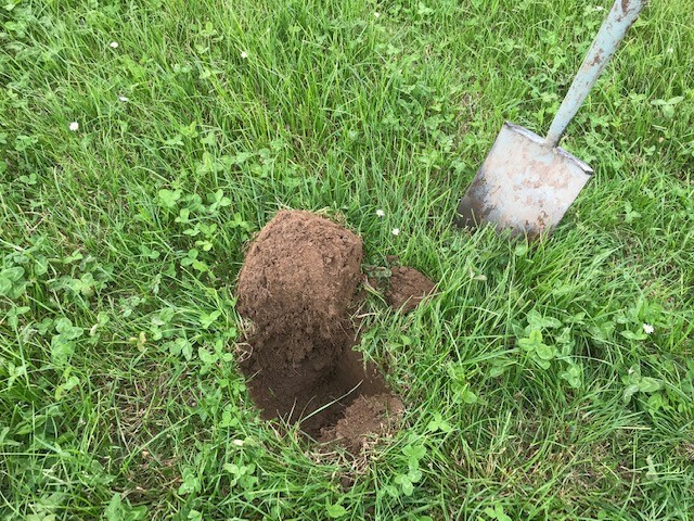 A hole in a grass field with a spade at the side