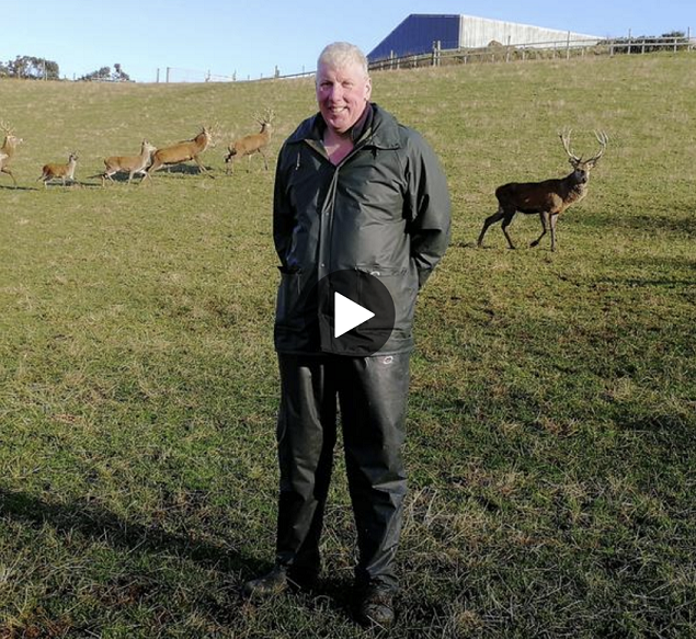 Bob Prentice stood in a field with deer behind him