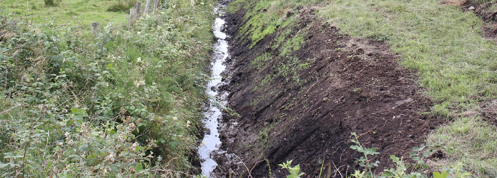 A recently cleaned field drain - the side next the field has been cleaned and scraped clean by a digger; the soil is still visible but new vegetation is emerging. The water flowing through the drainage channel is visible.