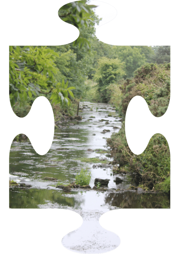 1 A wide but shallow, stony based watercourse. The banks have become overgrown with vegetation and gorse bushes.