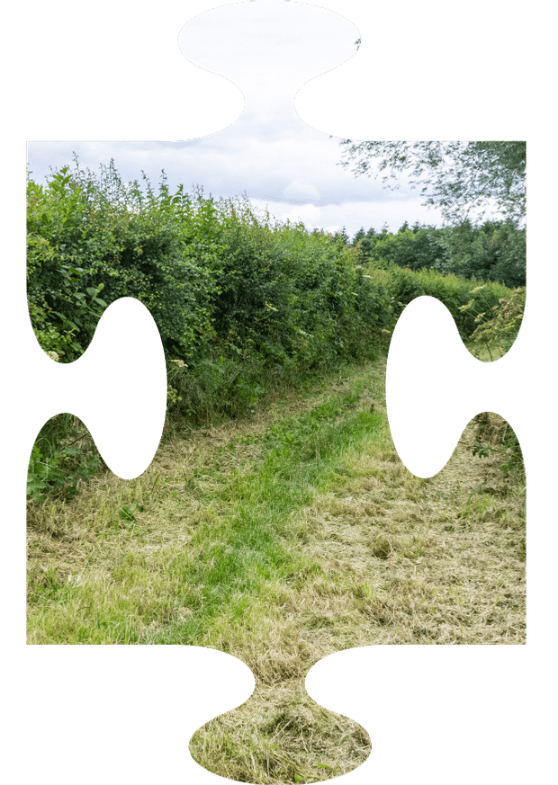 4 Hedgerows