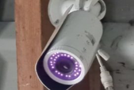 Camera to monitor livesotck