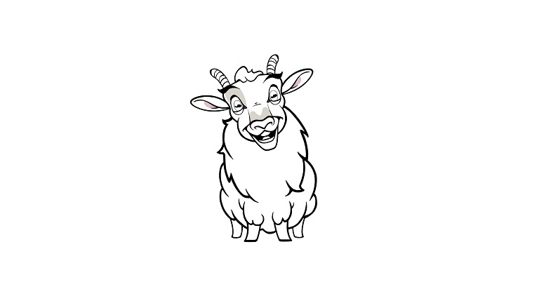 Colouring in Sheep FrontSMALL