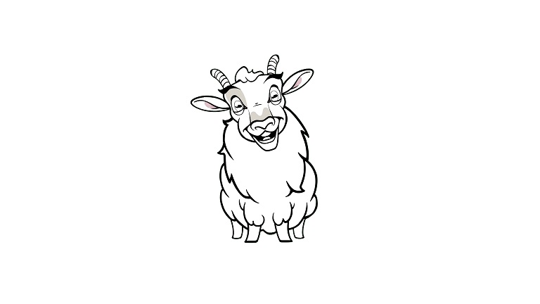 Colouring in Sheep FrontSMALL Colouring in Sheep FrontSMALL