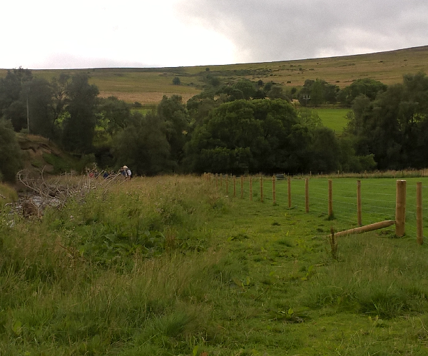 Fence next a river