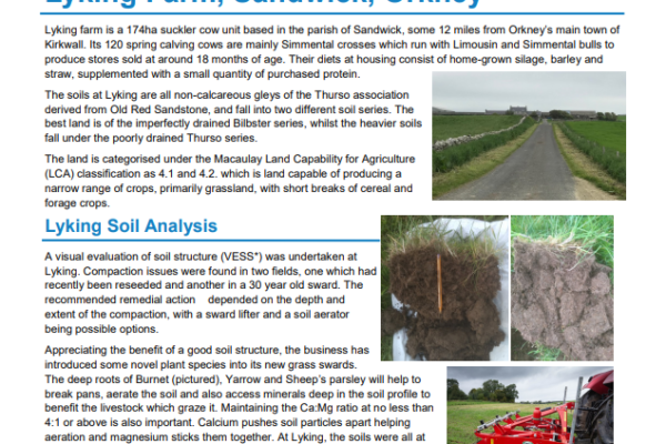 A photo of the cover page of the Lyking Farm Case Study.