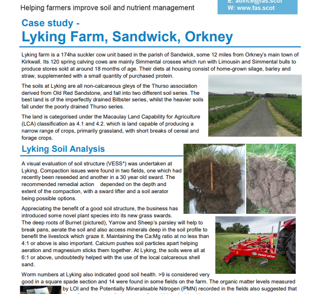 A photo of the cover page of the Lyking Farm Case Study.
