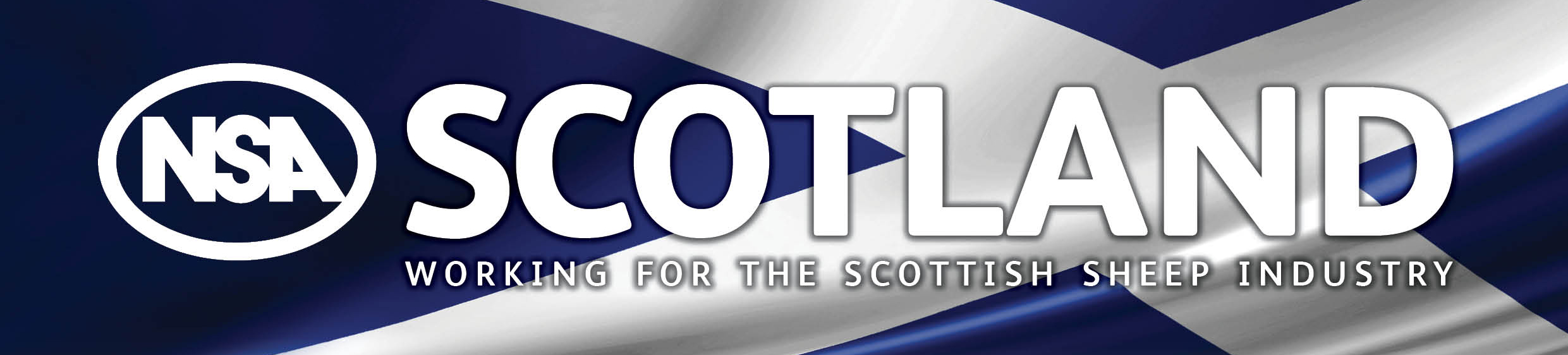 NSA Scotland Logo1