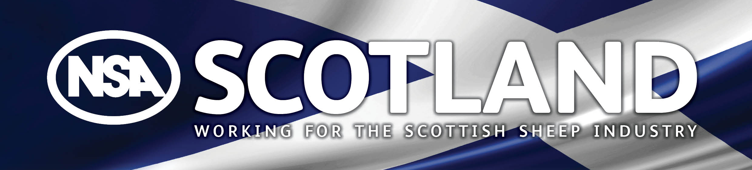 NSA Scotland Logo1 NSA Scotland Logo1