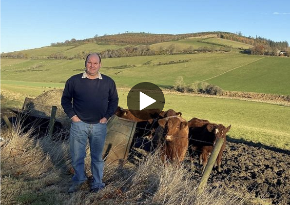 John Matheson stood in a field with cattle behind him