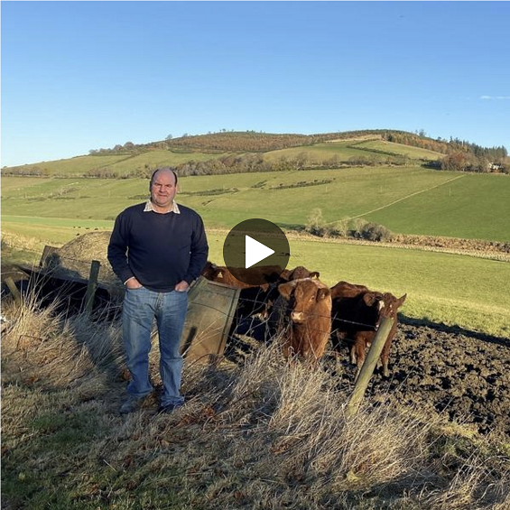 John Matheson stood in a field with cattle behind him