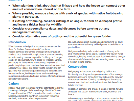 A thumbnail image of the pdf copy of Technical Note (TN738) Hedges - Carbon, Conservation & Compliance