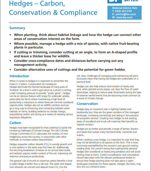 A thumbnail image of the pdf copy of Technical Note (TN738) Hedges - Carbon, Conservation & Compliance