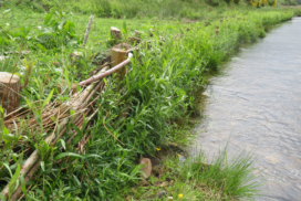 Willow spiling next a river as part of river bank restoration