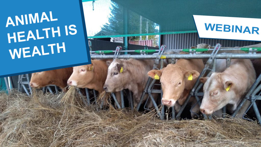 Animal Health Is Wealth | Information helping farmers in Scotland | Farm  Advisory Service