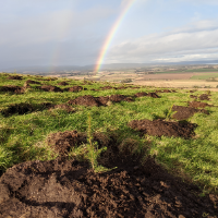 Newly planted conifer saplings on a hill looking down across countryside with a rainbow landing in the middle of the background.