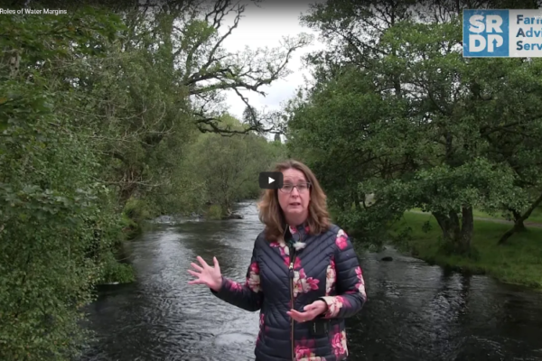 Consultant stood in front of a river with heavy tree cover on both sides.