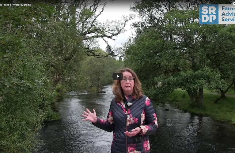 Consultant stood in front of a river with heavy tree cover on both sides.