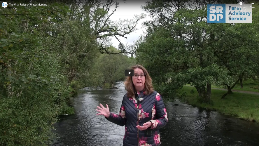 Consultant stood in front of a river with heavy tree cover on both sides.