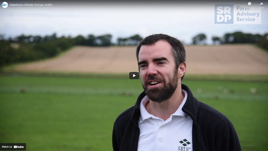 Farmer stood in front of a field, wearing an SRUC branded polo shirt
