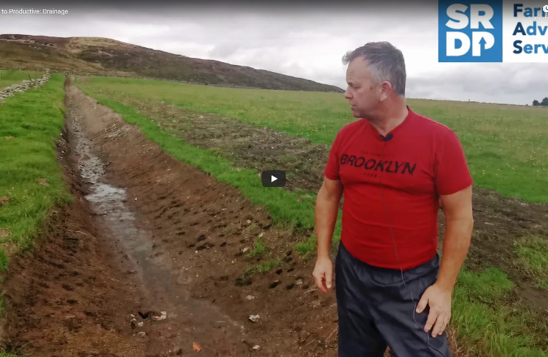 A farmer stood at the bottom of a newly dug drainage ditch