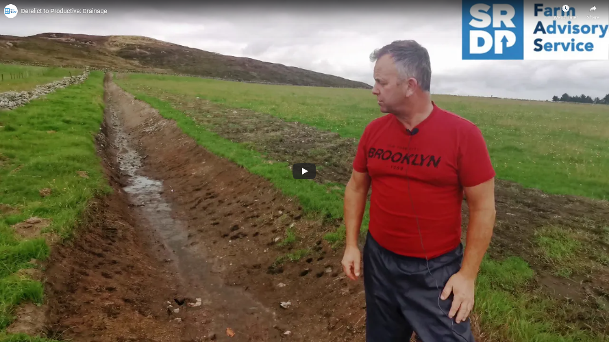 A farmer stood at the bottom of a newly dug drainage ditch