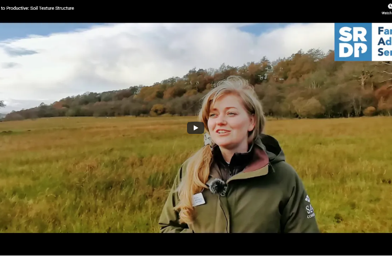 A SAC Consultant stood in a field.