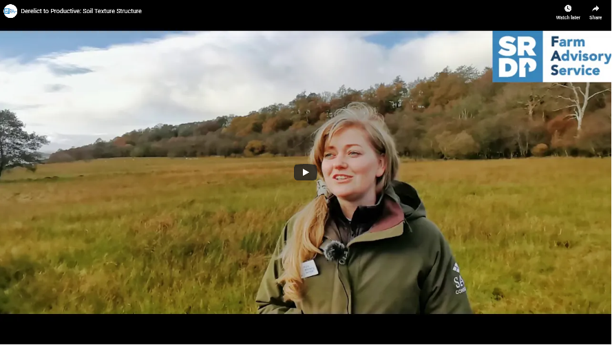 A SAC Consultant stood in a field.