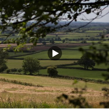 Scottish farmland and countryside, divided by hedges