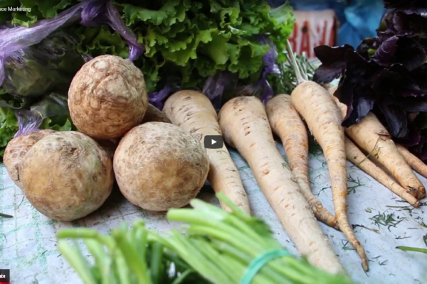 a variety of polyproduce vegetables and salad on a table.