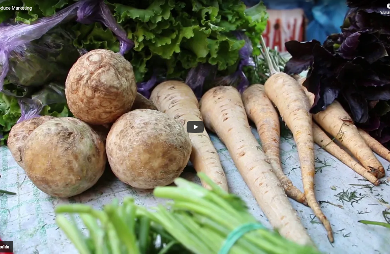 a variety of polyproduce vegetables and salad on a table.