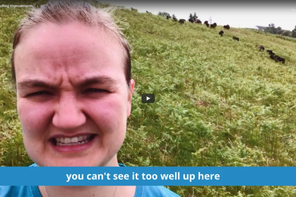 Crofter stood in a field of ferns