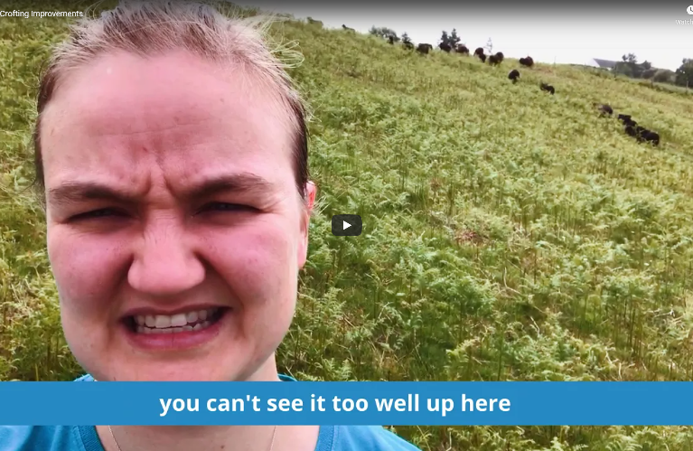 Crofter stood in a field of ferns