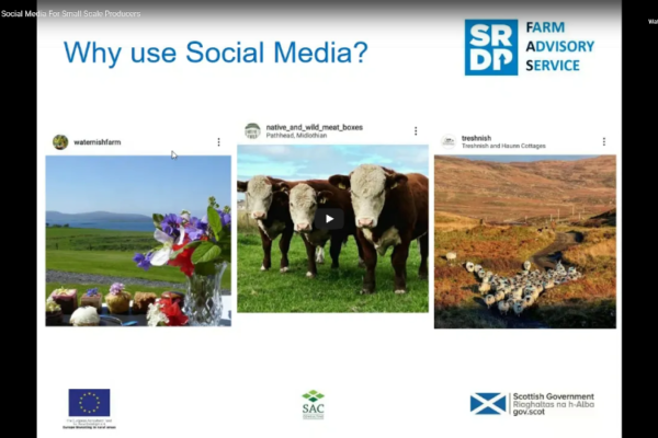 Powerpoint slide asking 'why use social media' with photos of social media accounts