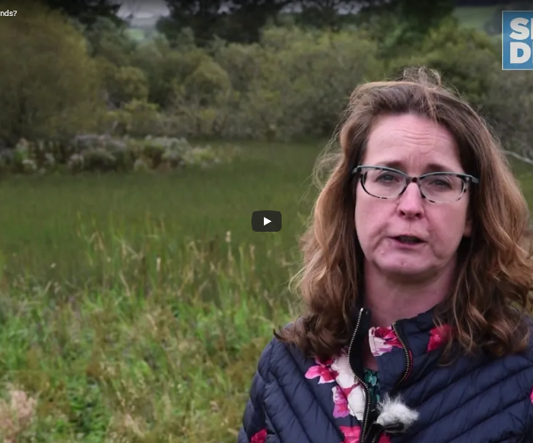 Consultant stood in front of rushes and wetlands
