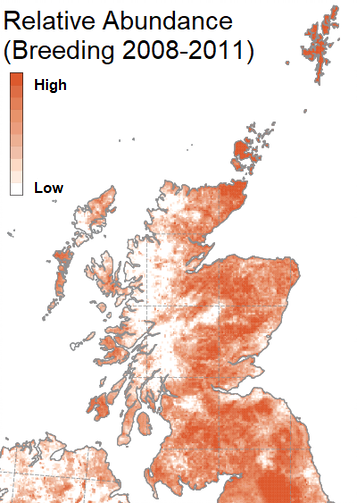 Map showing the Relative Abundance of Curlew (Breeding 2008-2011)