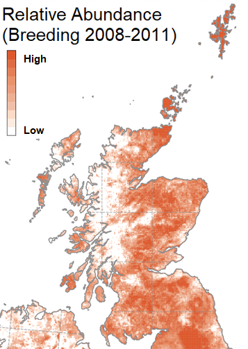 Map showing the Relative Abundance of Curlew (Breeding 2008-2011) Map showing the Relative Abundance of Curlew (Breeding 2008-2011)