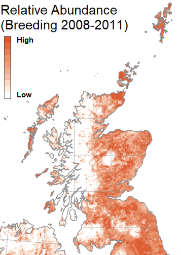 Map showing the Relative Abundance of Lapwing (Breeding 2008-2011)