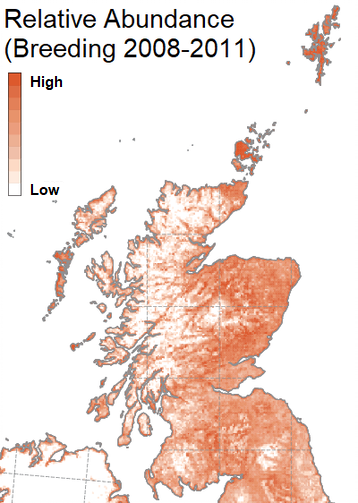 Map showing the Relative Abundance of Oystercatcher (Breeding 2008-2011)