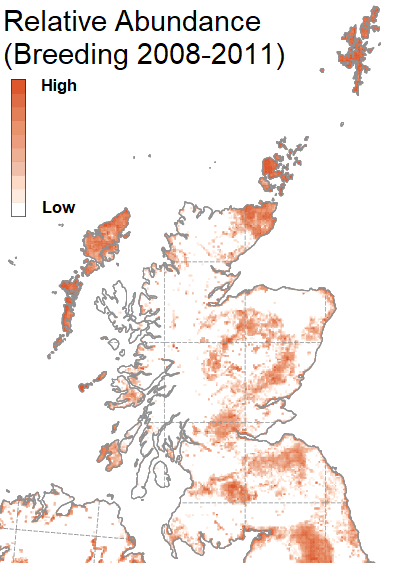 Map showing the Relative Abundance of Redshank - Breeding 2008-2011 Redshank abundance in Scotland during the breeding season. Map reproduced from Bird Atlas 2007–11, which is a joint project between BTO, BirdWatch Ireland and the Scottish Ornithologists’ Club. Map reproduced with permission from the British Trust for Ornithology.