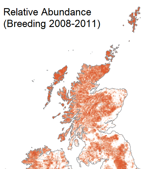 Snipe abundance in Scotland during the breeding season. Map reproduced from Bird Atlas 2007–11, which is a joint project between BTO, BirdWatch Ireland and the Scottish Ornithologists’ Club. Map reproduced with permission from the British Trust for Ornithology.