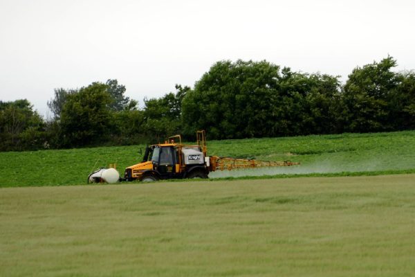 A yellow self propelled pesticide sprayer in action over a field of broad leaved crop.