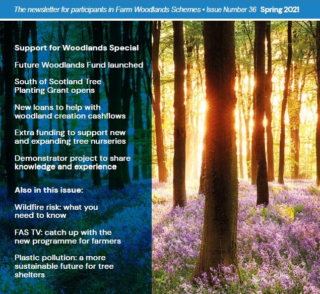 Front cover of the Farm Woodland News (FWN36) Spring 2021 edition