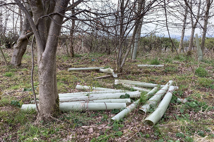A pile of used plastic tree guards littering an area of woodland.