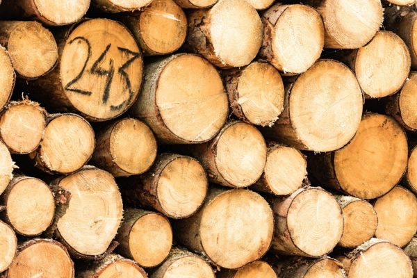 A stack of felled timber logs.