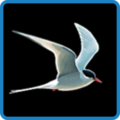 The Collins Bird Guide App logo